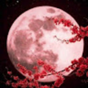 Meet your Posher, Heda